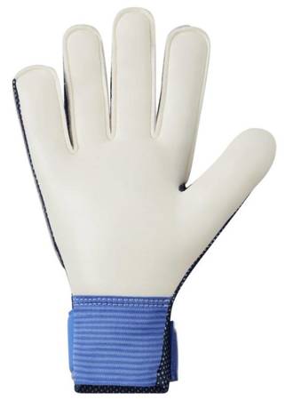 Junior goalkeeper gloves Nike Match CQ7795-501